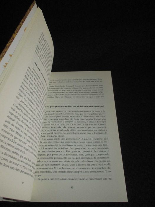 Livro Maria A Verdadeira História da Mãe de Jesus Jacques Duquesne