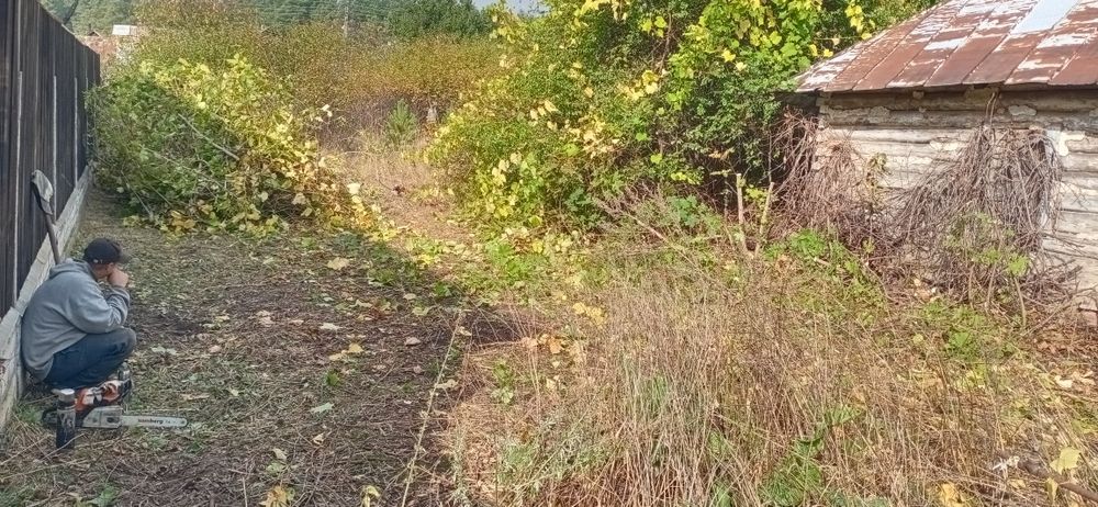 Расчистка територии,уборка и вывоз.