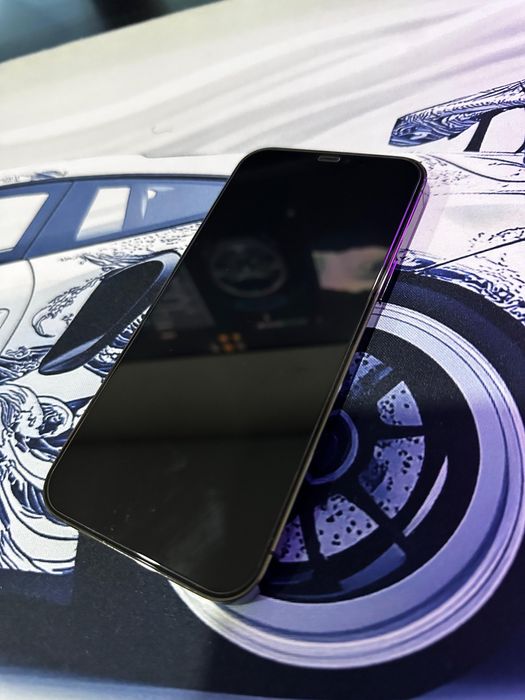 iPhone 12 Pro Max 256GB