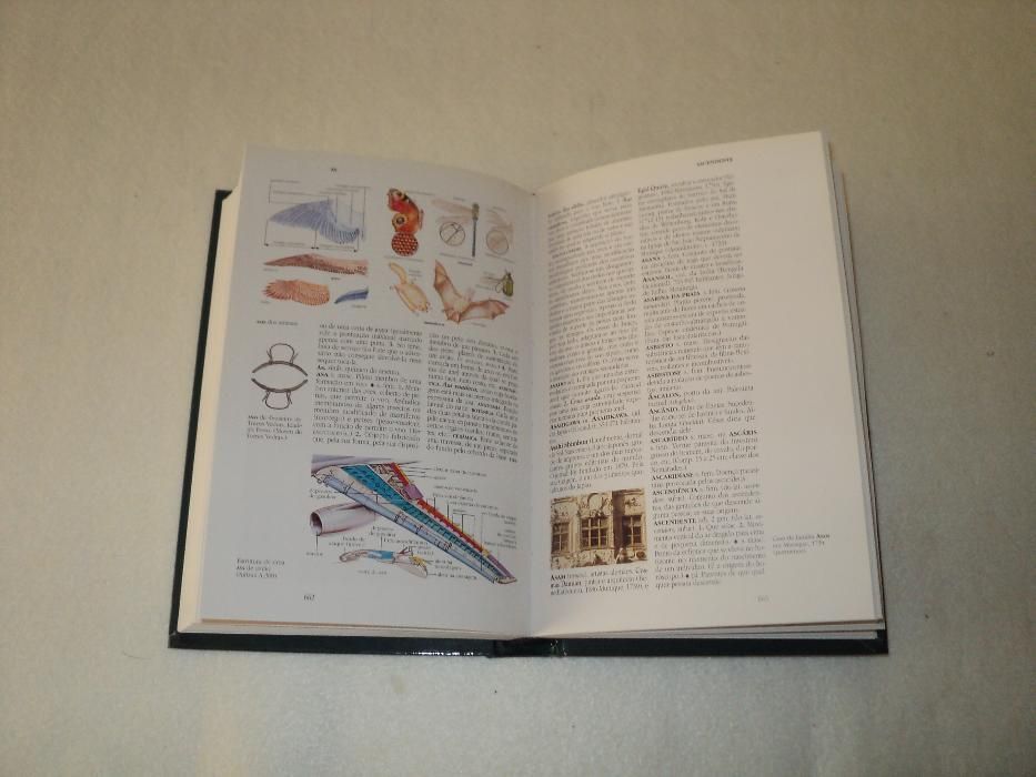Enciclopédia Larousse (Cor Verde) colecção 18 Livros