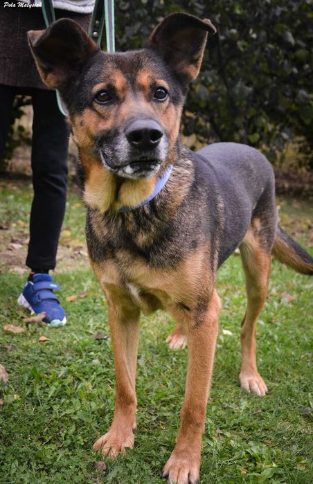 Szukamy spokojnego domku dla Nano ! !