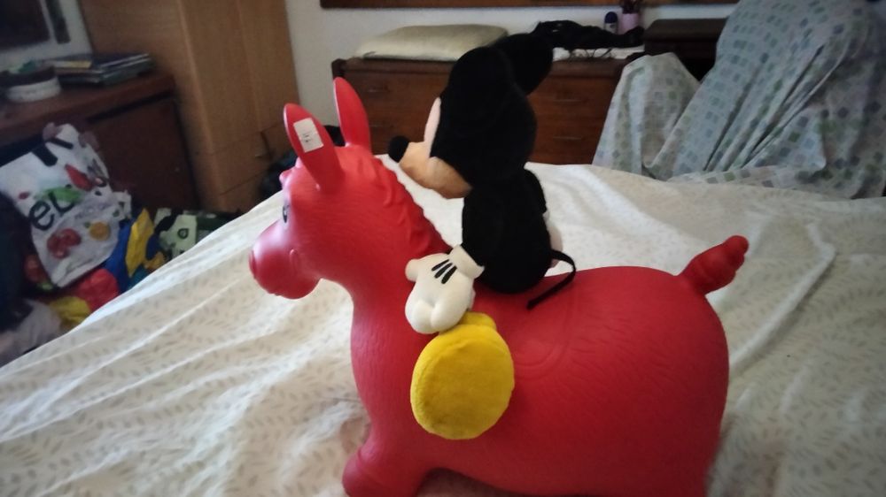 Cavalo com Mickey