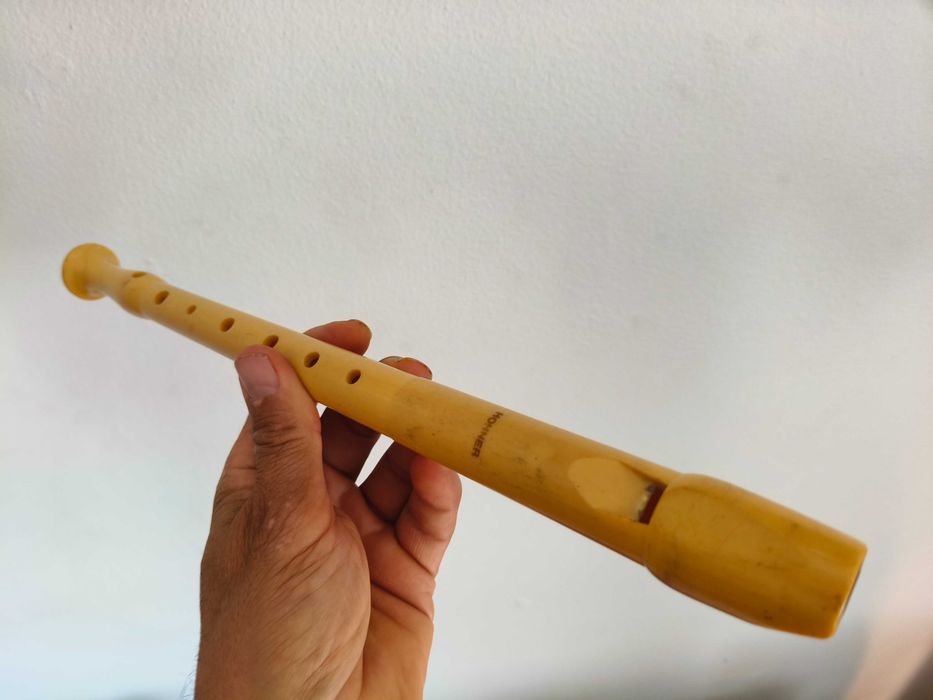 Flauta original Hohner para aulas de musica ou educacao musical