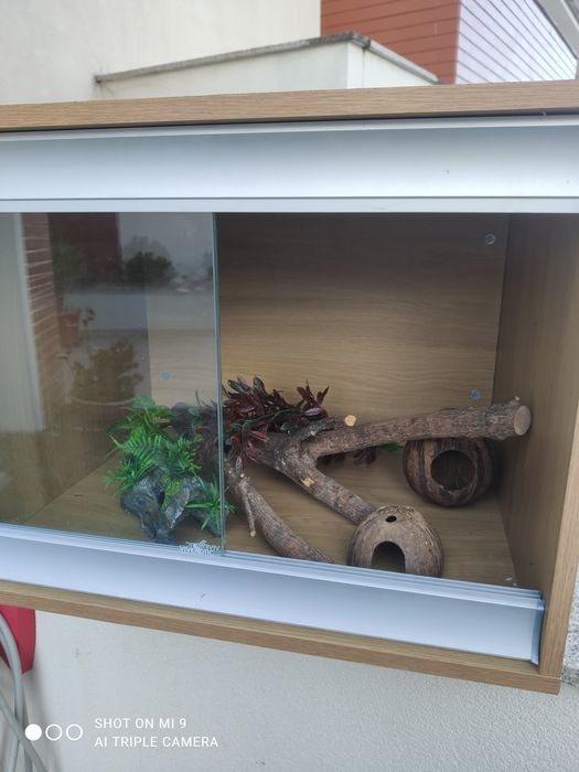 Terrário para répteis