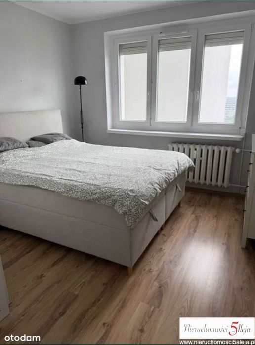 Zdjęcie 5
