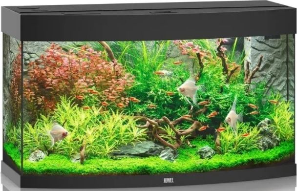 Акваріум Juwel Rio 180 (б/у)180л+тумба