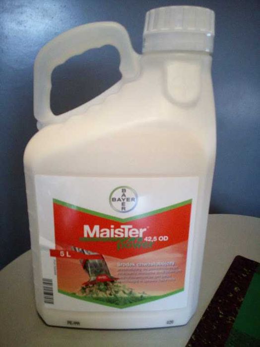 Maister Power 5L cena brutto