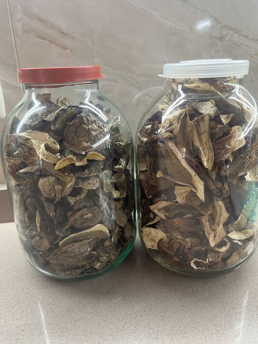 Гриби сушені (польські + моховики)