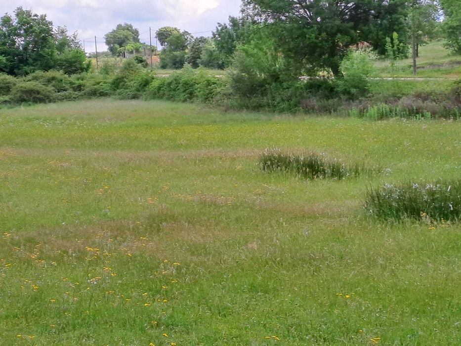 Terreno para venda em Baçal com 1,5 hectares - Bragança