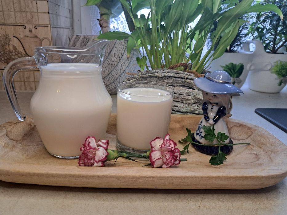 Sprzedam mleko kozie