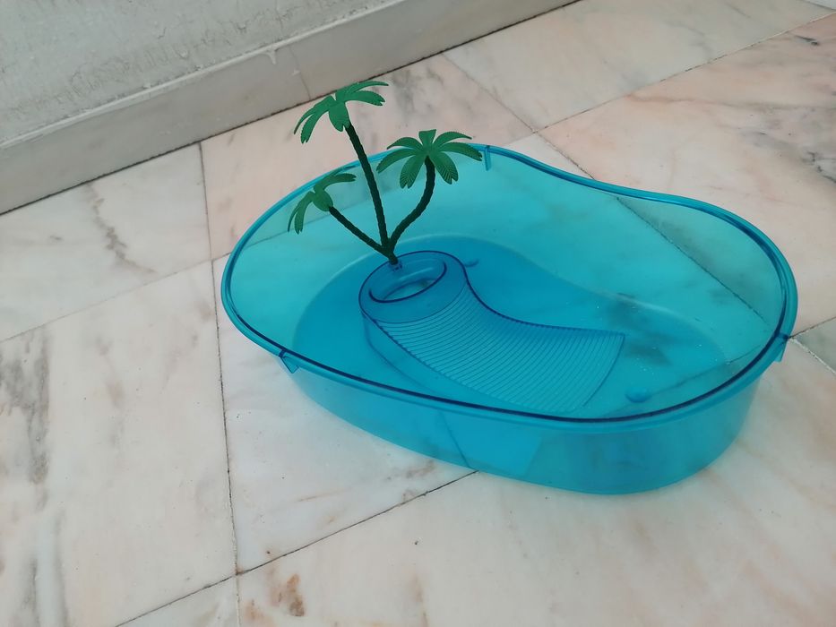 Aquário de tartaruga