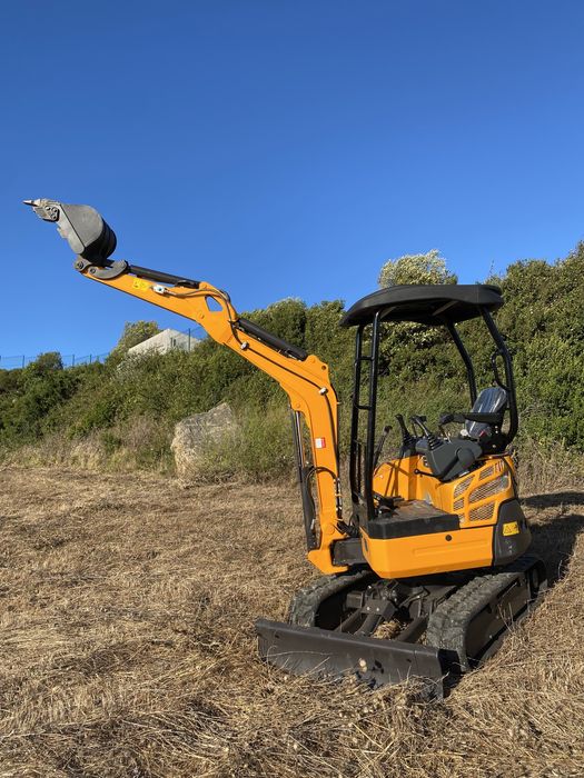 Aluguer de Mini giratoria de 2 TON