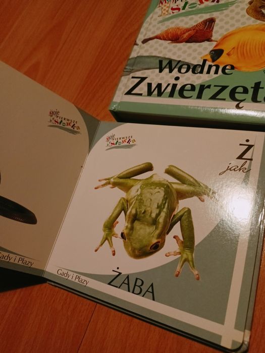 Książki dla dziecka, pierwsze słowa