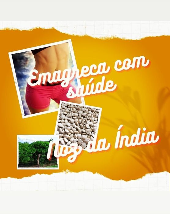 100 NOZES 69€  Qualidade SUPERIOR!