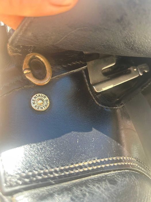 Sela Dressage cavalos