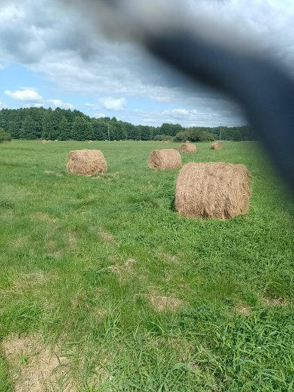 Sprzedam siano zesłoroczne