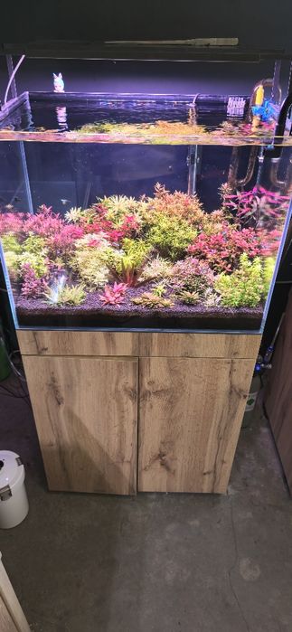 Akwarium 96l opti zestaw