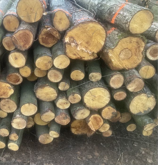 Drewno opałowe Olcha, Brzoza