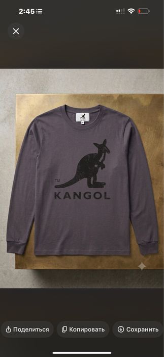 Сірий лонгслів Kangol