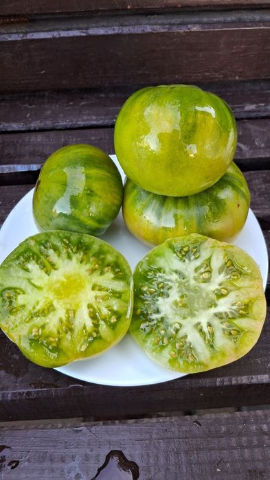 Насіння Гноми Перець Дрова арахіс кохія дельфініум аквілегія рицина