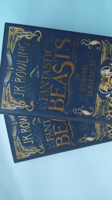 NOVO — Fantastic Beasts and Where to Find Them, Harry Potter