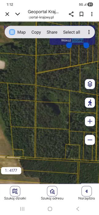 Sprzedam las z gruntem