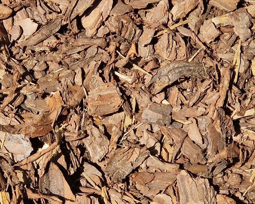 kora sosnowa pakowana w worki 80 litrów