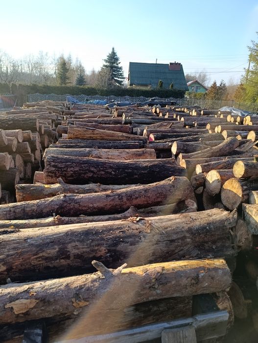 Drewno opałowe sosna