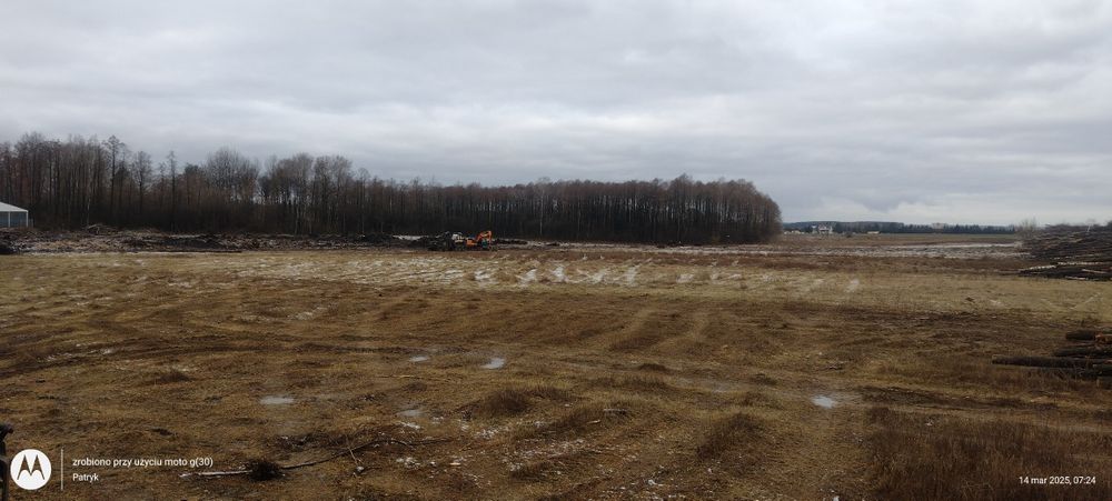 biomasa#wycinka  lasów#drzew#las#mulczowanie