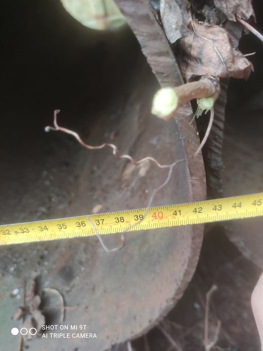 Продам воздушные ресиверы и 530 ю трубу