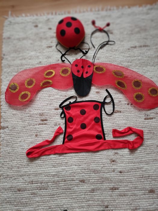 Strój biedronka że skrzydelkami