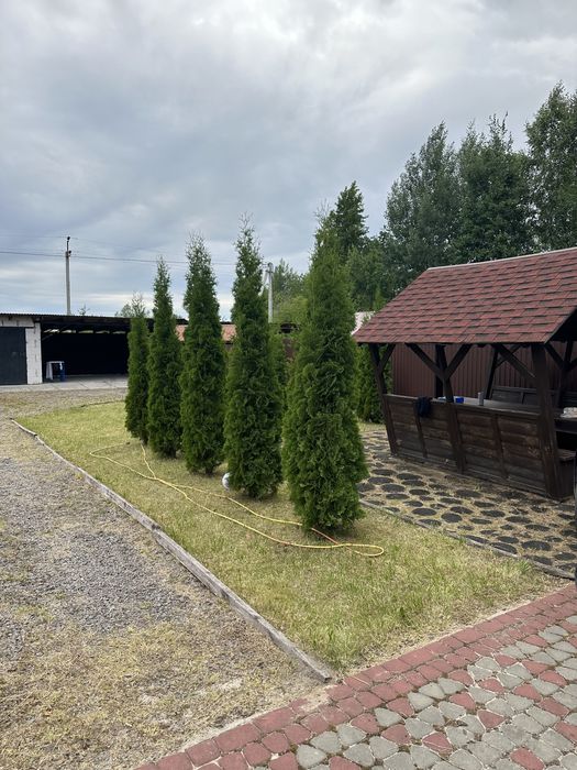 Здається будинок на Світязі