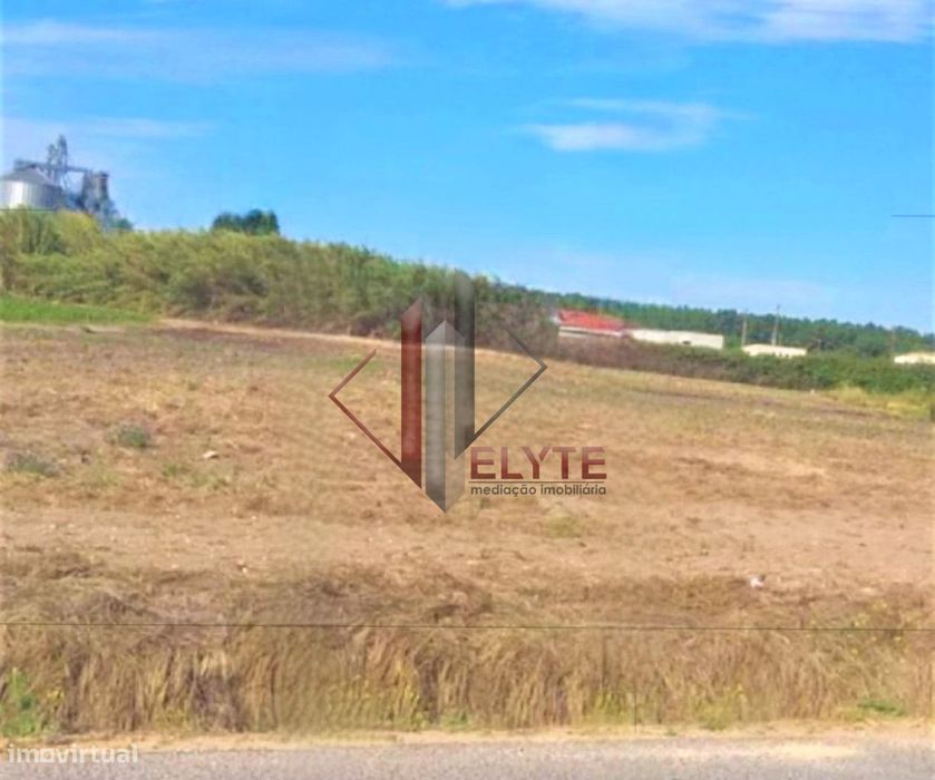 terreno Foros Salvaterra