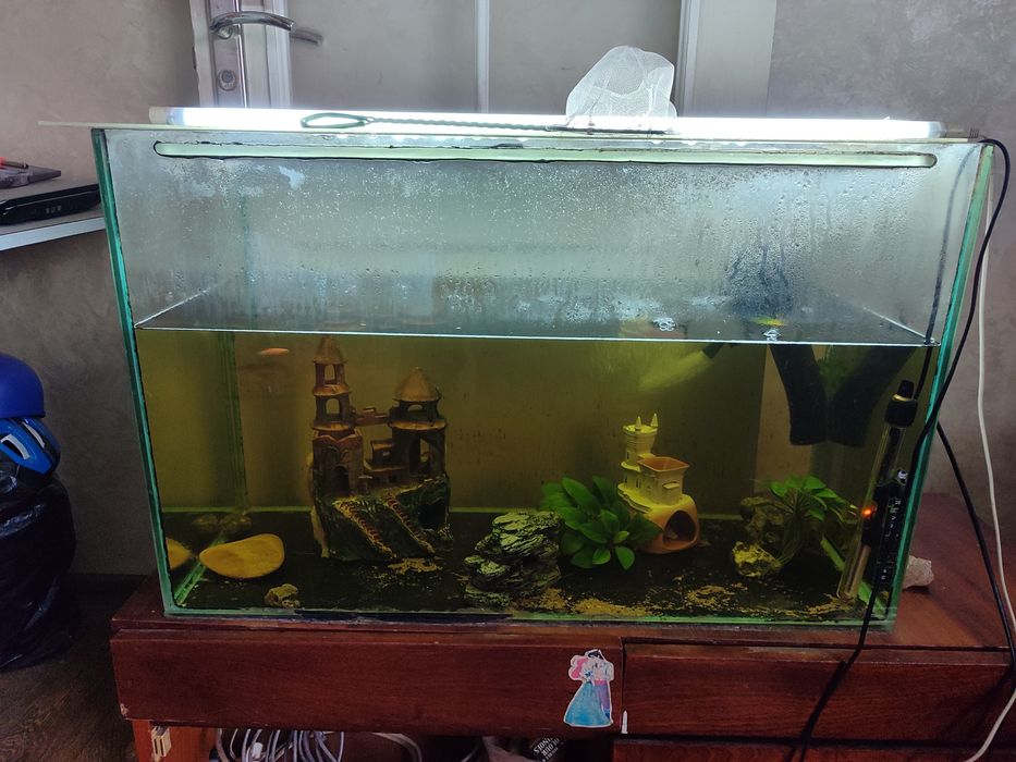Аквариум с рыбками