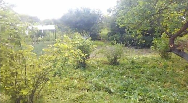 Продається дача в селі Клузів