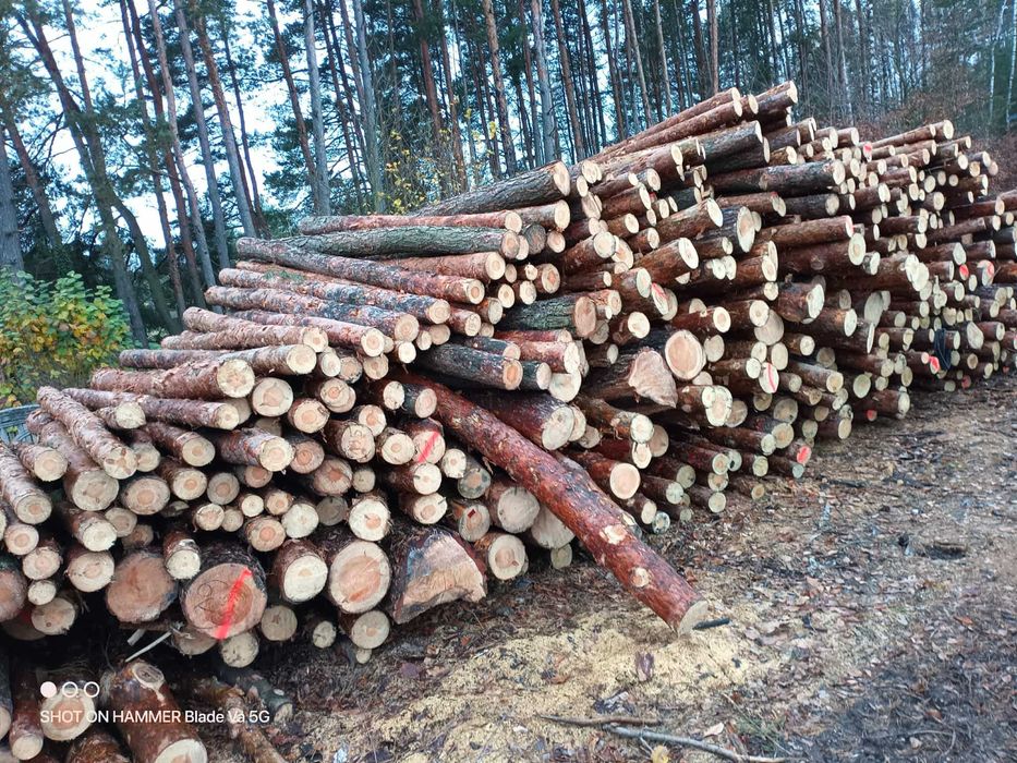 Drewno kominkowe opałowe SUCHE ! SEZONOWANE!/