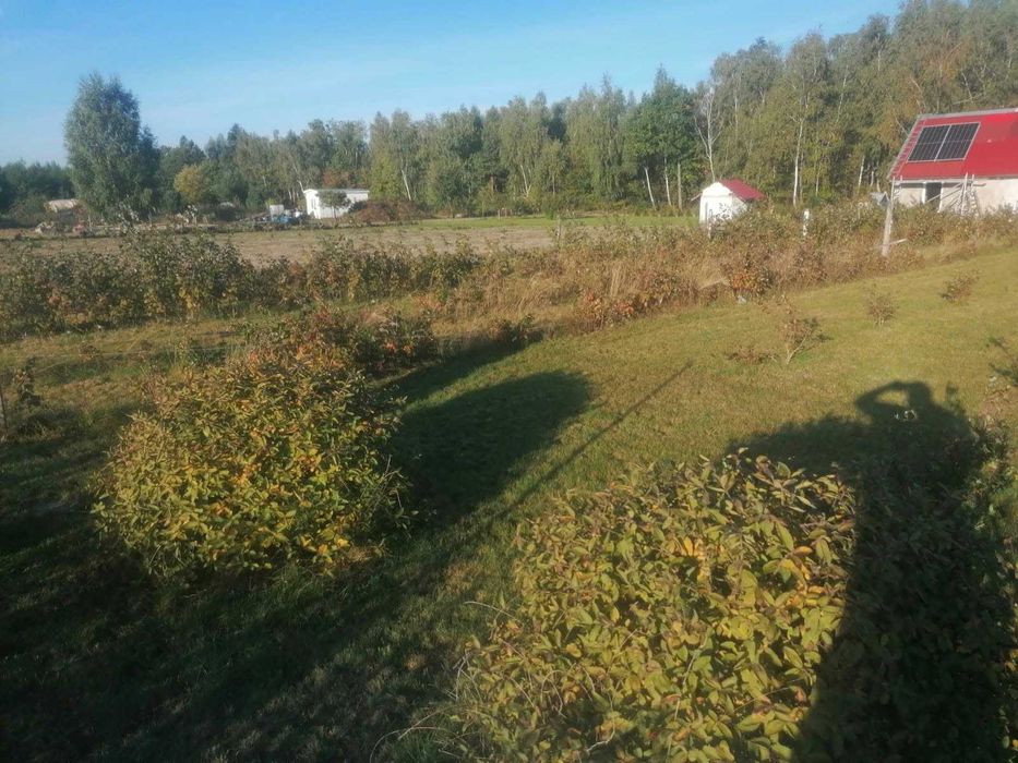 Działka z wydanymi warunkami zabudowy - Wilamy powiat płoński, gmina Załuski - 2 x 1500 m² - Więcej