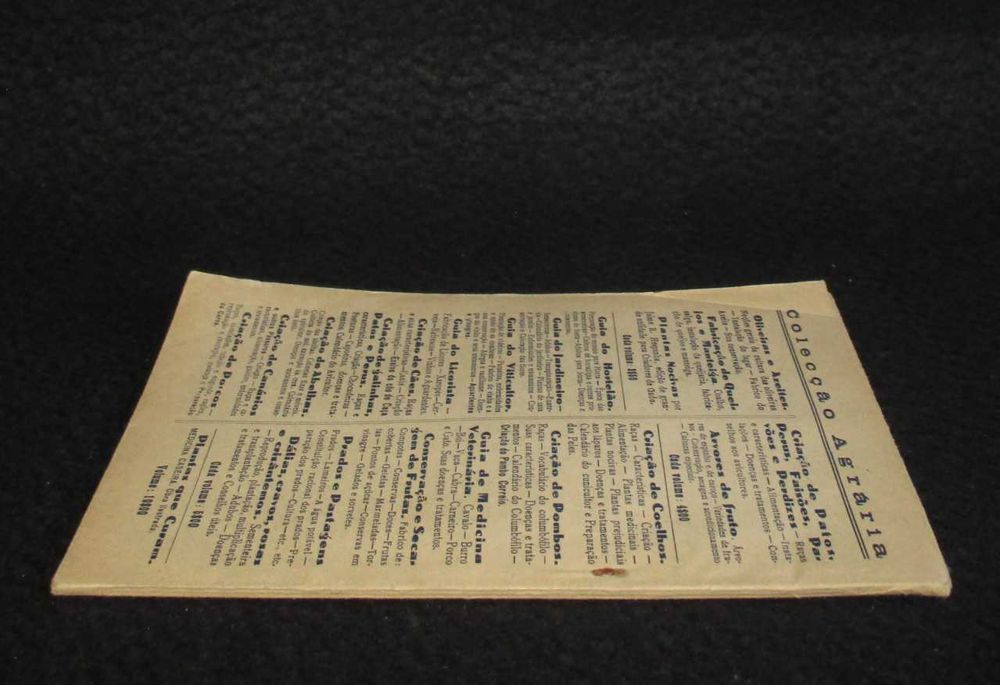 Livro Dálias Cravos Rosas e Crisântemos Júlio de Vasconcelos