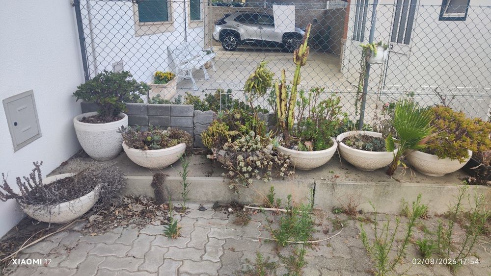 Vasos com ou sem plantas