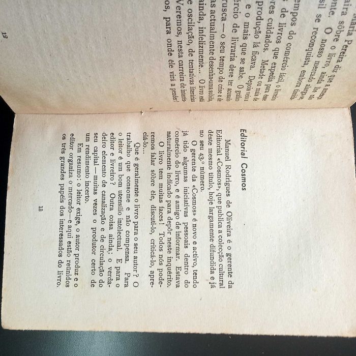 Inquérito ao livro em Portugal I de Irene Lisboa