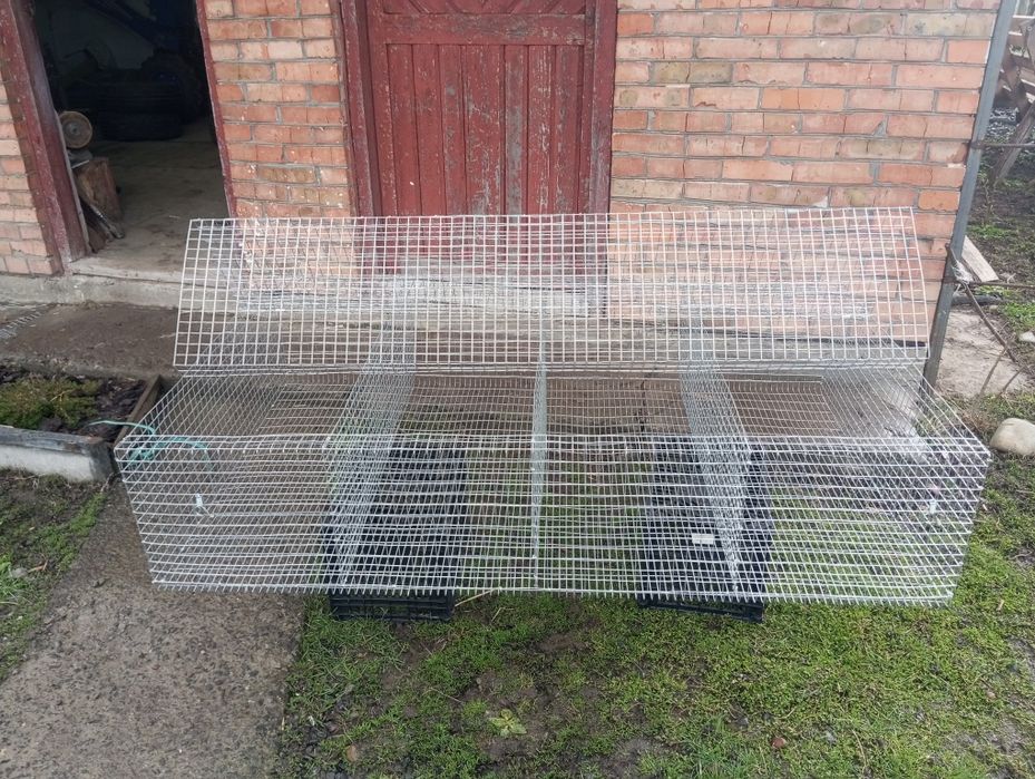 Клітки для кроликів
