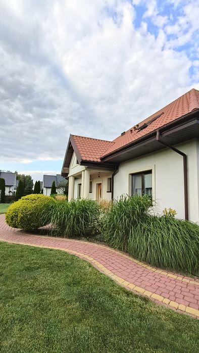 Zdjęcie 7