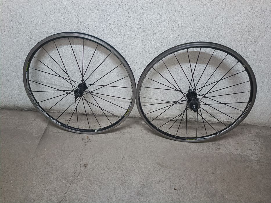 Rodas Blackjack WarmUp 26"