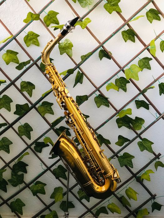 Saxofone Alto Hohner President