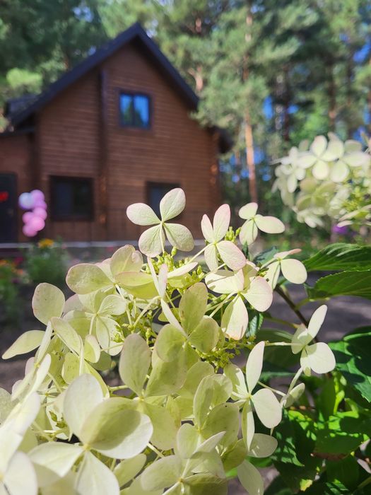 Здам в аренду будинок для відпочинку в Киевской області