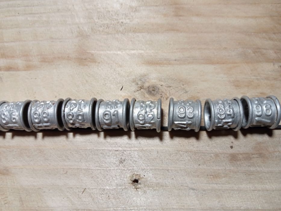 Obrączki dla gołębi pocztowych