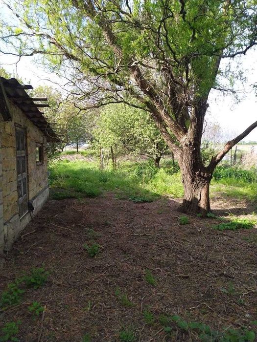 Будинок с.Червонокам'яне, 25км від Дніпра, Велика зем.ділянка.ВЛАСНИЦЯ