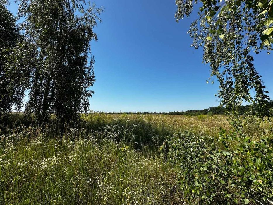 Продаж земельної ділянки 38 соток - ОСГ. 50 метрів від траси. ID:678