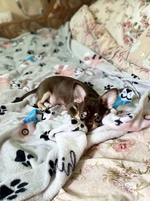 Жора ищет мамочку для игр и обниманий