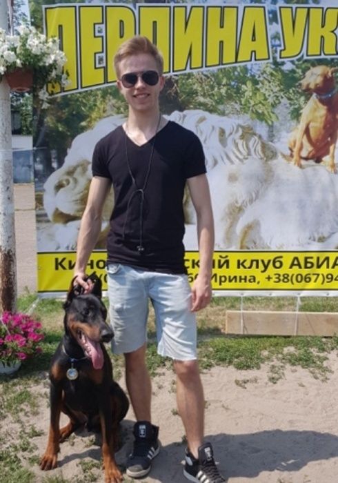 Доберман Пропонується для вязки (розвязан).